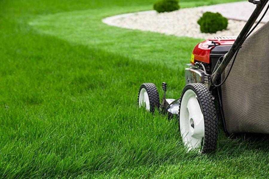 Masuku Property Services Masuku Property Services