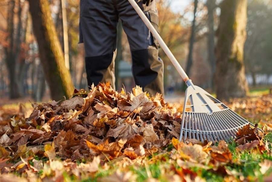 Masuku Property Services Masuku Property Services