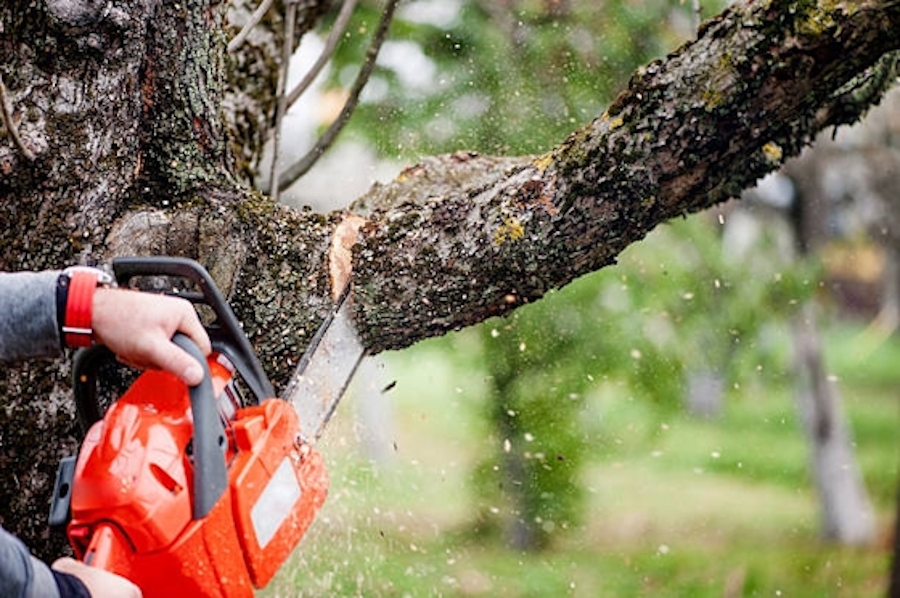Masuku Property Services Masuku Property Services
